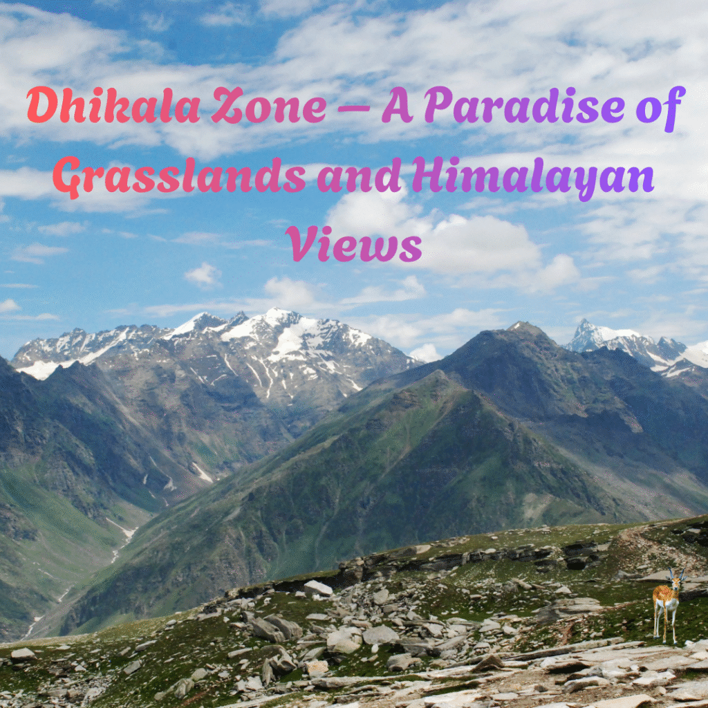 Wide landscape view of Dhikala Zone near Jim Corbett with green grasslands, safari trail, and distant Himalayan mountains.