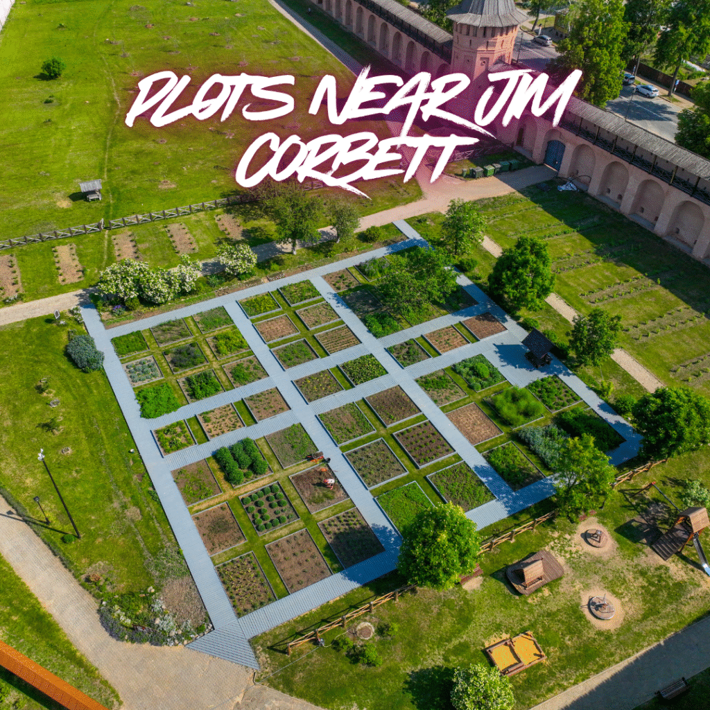 Beautifully developed investment plots near Jim Corbett with paved roads, greenery, and a scenic mountain backdrop — ideal for residential or resort projects in Uttarakhand.
